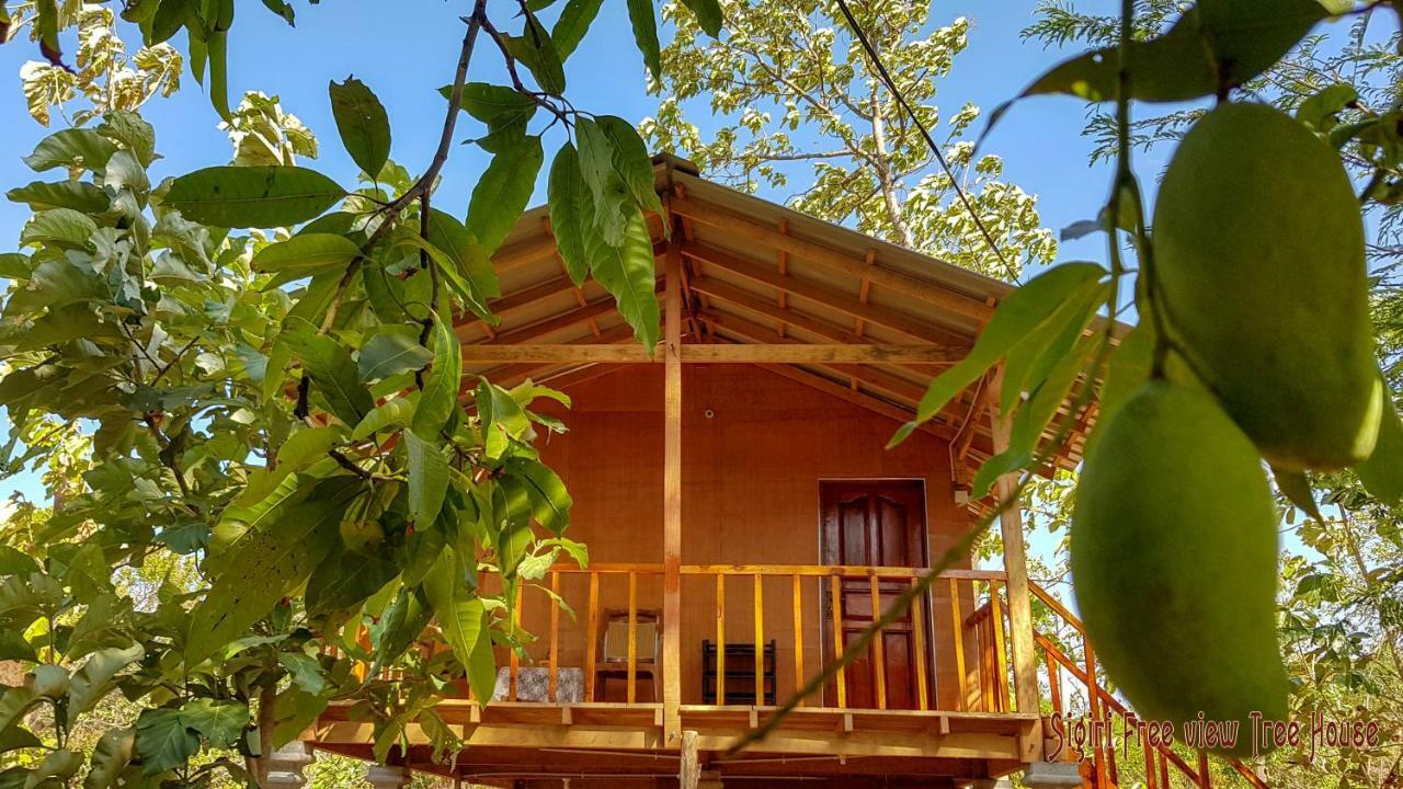 Sigiriya Free View Tree House & Villa Zewnętrze zdjęcie