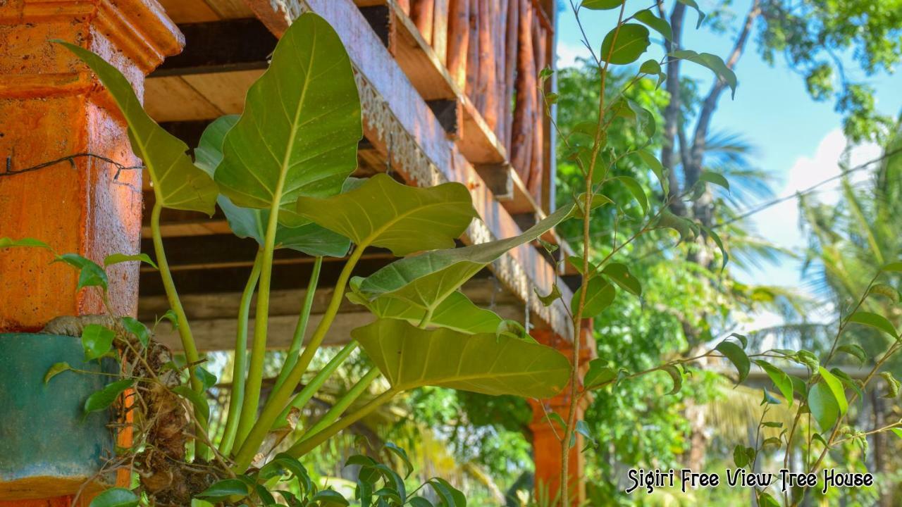Sigiriya Free View Tree House & Villa Zewnętrze zdjęcie