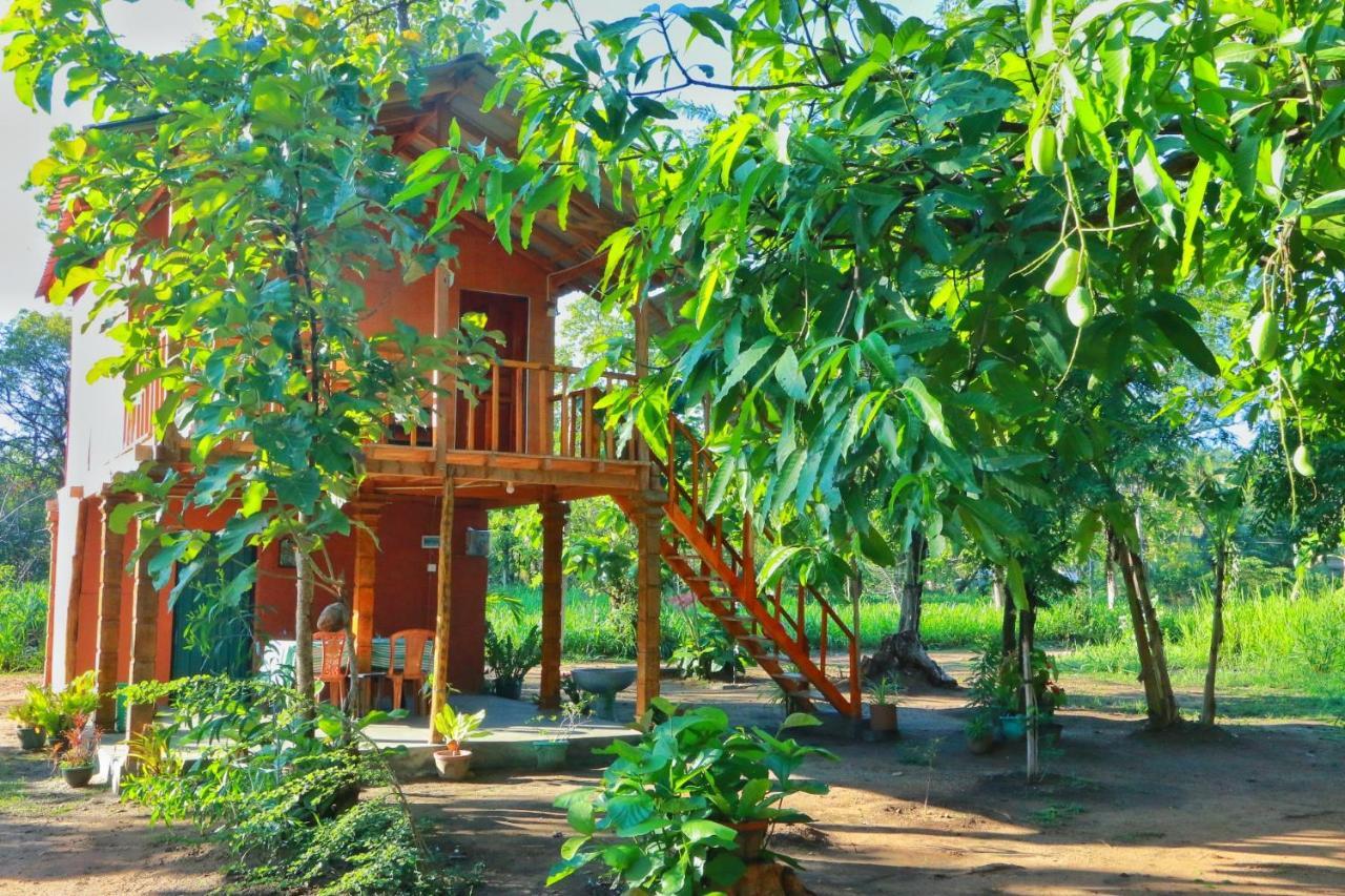 Sigiriya Free View Tree House & Villa Zewnętrze zdjęcie