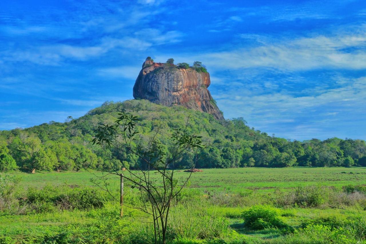 Sigiriya Free View Tree House & Villa Zewnętrze zdjęcie