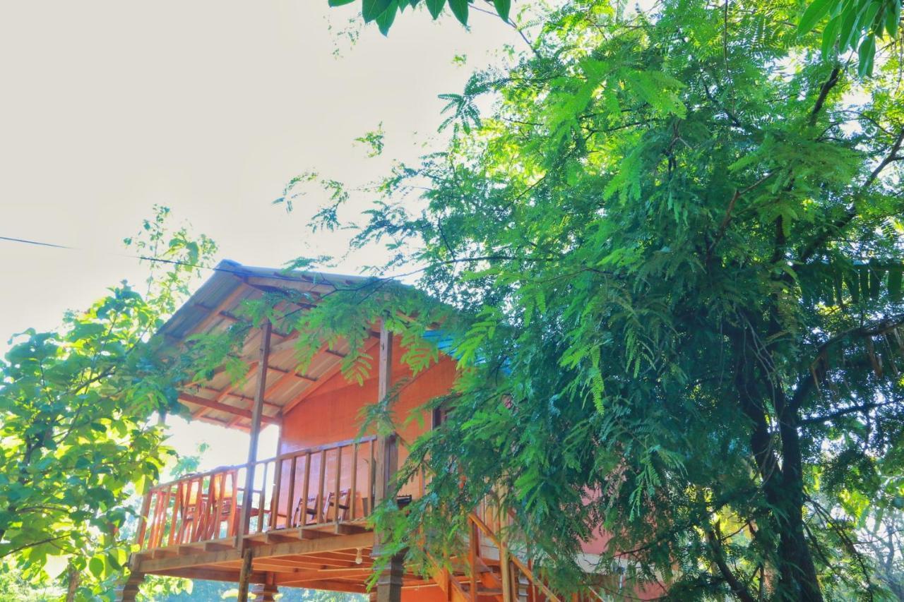 Sigiriya Free View Tree House & Villa Zewnętrze zdjęcie