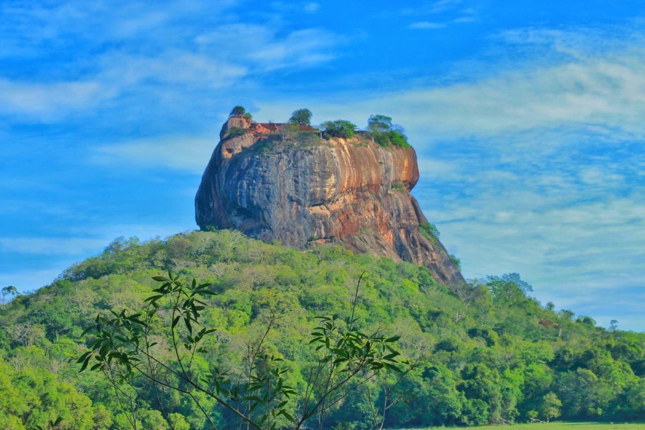 Sigiriya Free View Tree House & Villa Zewnętrze zdjęcie